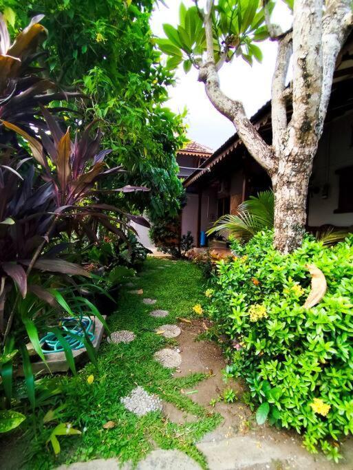 Niki Mawon Homestay Kejayan ภายนอก รูปภาพ